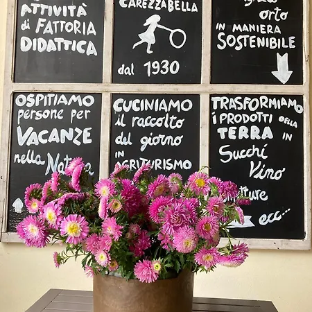 Agriturismo Corte Carezzabella San Martino di Venezze